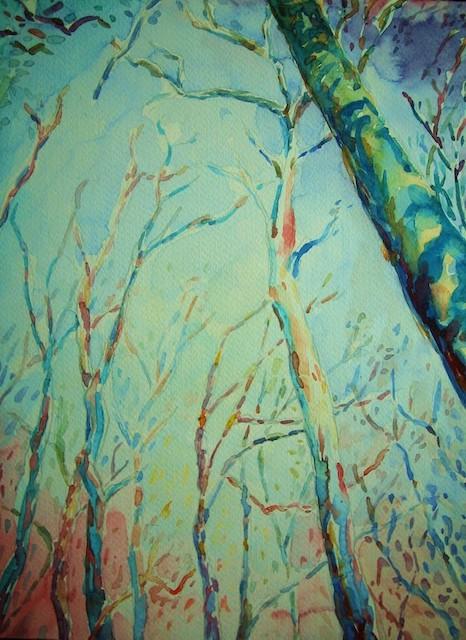 Trees At Overland Track - 30x23cm - watercolor '07 - australia tasmania - SOLD