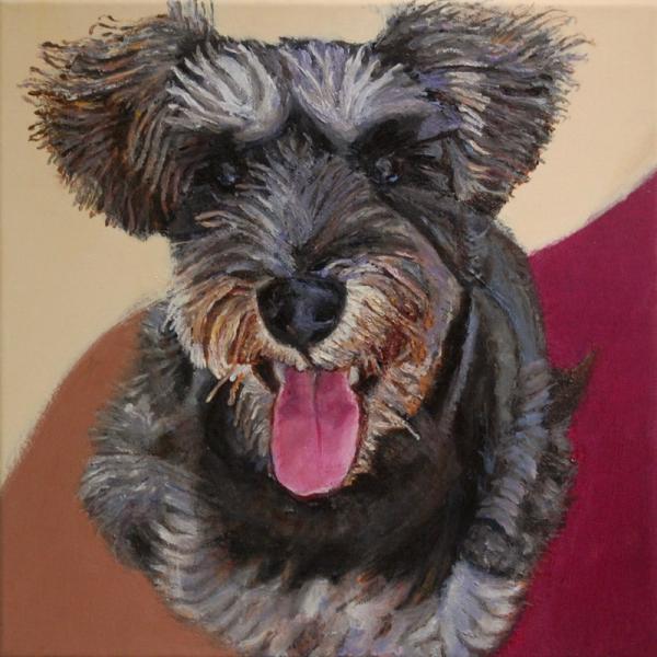 Happy Schnauzer - 12x12 in - acrylic canvas '23 - available as print/NFT only