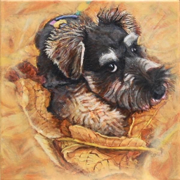 Schnauzer And Leaves - 12x12 in - acrylic canvas '23 - available as print only