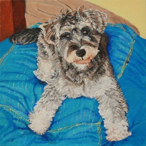 Schnauzer On Couch - 12x12 in - acrylic canvas '24 - available as print only